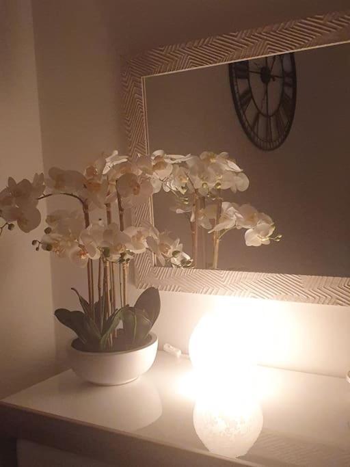 Orchidea Home Trieste Extérieur photo